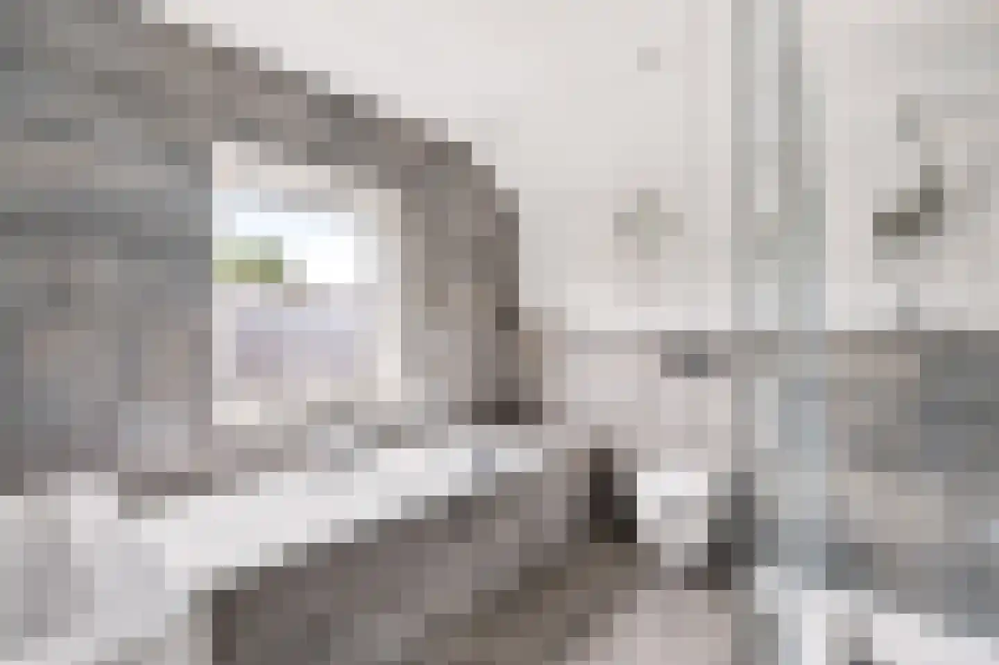 Zutphensestraat 23 Apeldoorn thumbnail 20