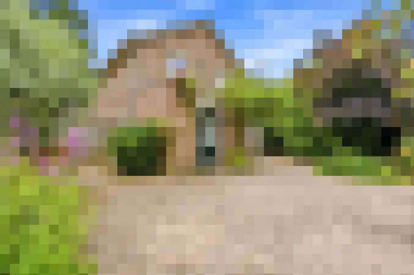 Zutphensestraat 23 Apeldoorn thumbnail 29