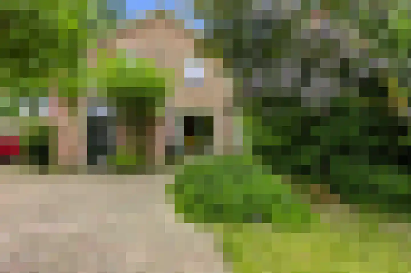 Zutphensestraat 23 Apeldoorn thumbnail 30
