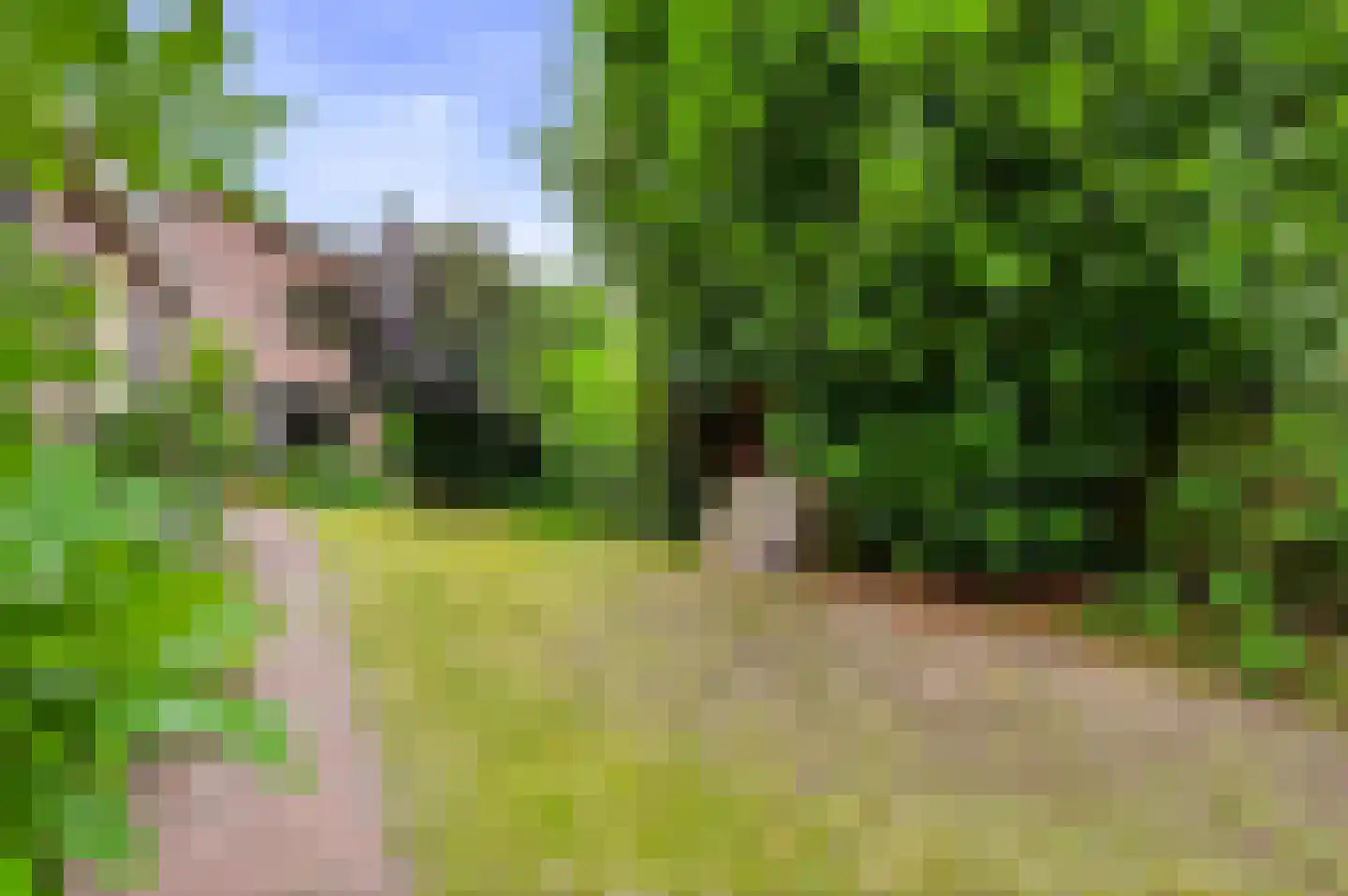 Zutphensestraat 23 Apeldoorn thumbnail 32