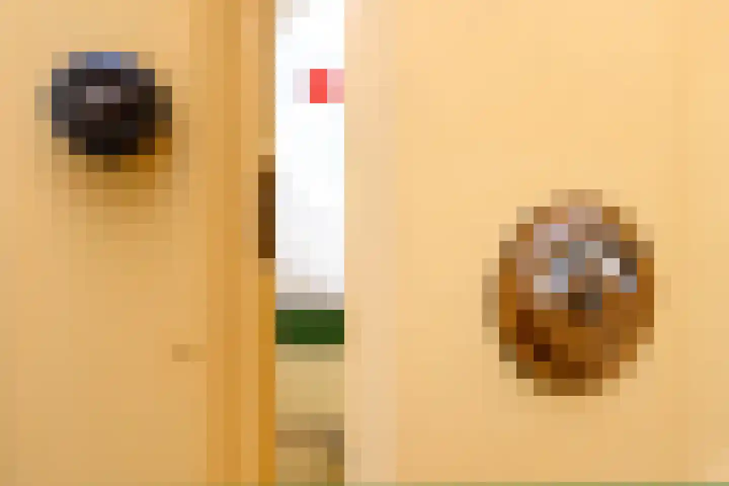 Zutphensestraat 26 Brummen thumbnail 11