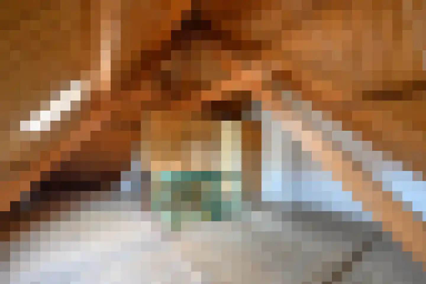 Zutphensestraat 26 Brummen thumbnail 22