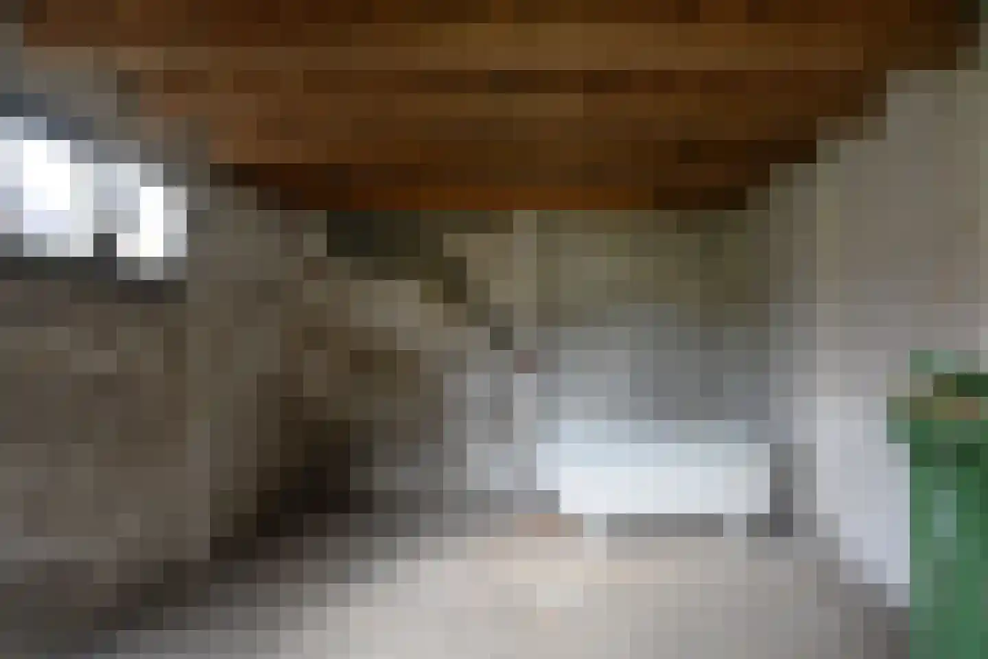 Zutphensestraat 26 Brummen thumbnail 31