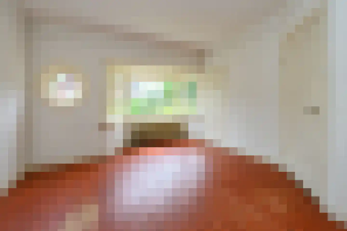 Zutphensestraat 26 Brummen thumbnail 5