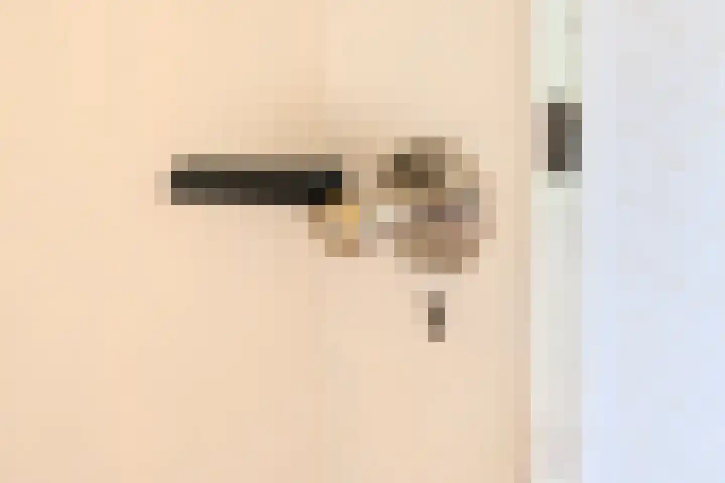 Zutphensestraat 26 Brummen thumbnail 6