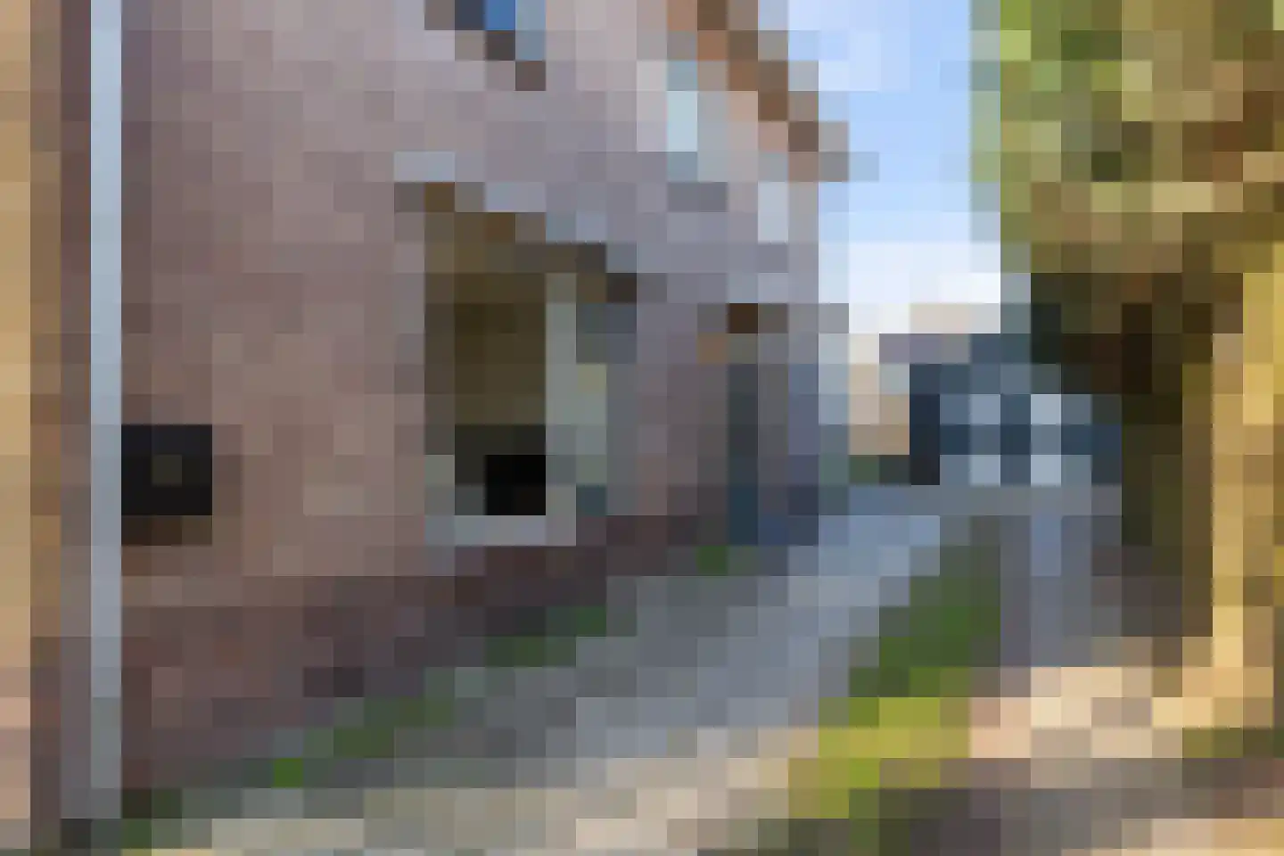 Zutphensestraat 33 A Apeldoorn thumbnail 19
