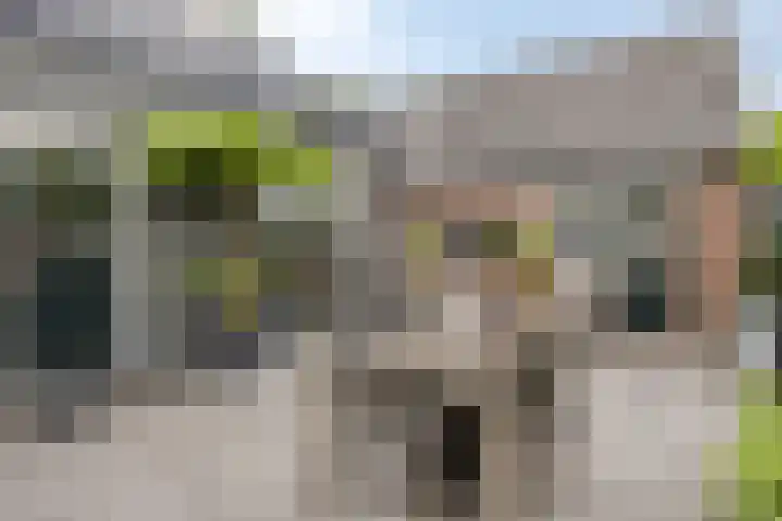 Zutphensestraat 48 Apeldoorn thumbnail 36