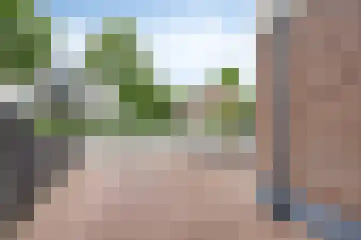 Zutphensestraat 48 Apeldoorn thumbnail 42