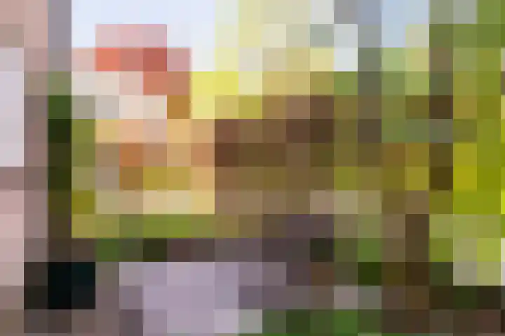 Zutphensestraat 50 A Brummen thumbnail 42