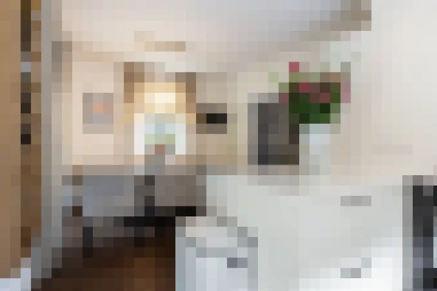Zutphensestraat 50 Apeldoorn thumbnail 20
