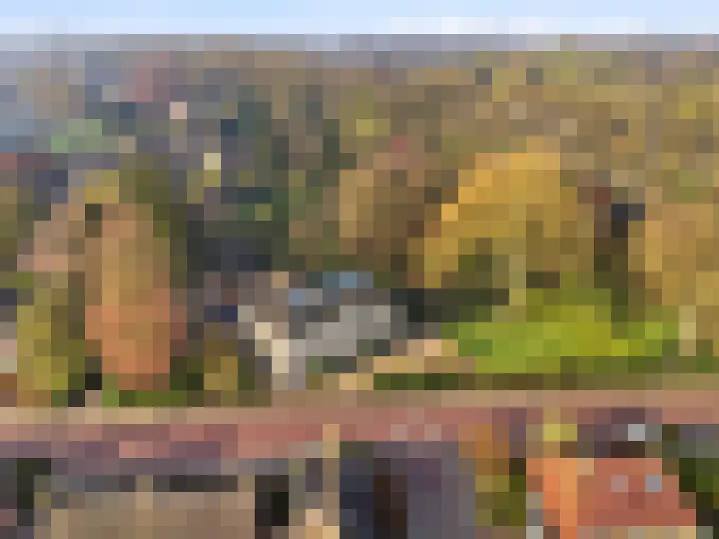 Zutphensestraat 53 Brummen thumbnail 101