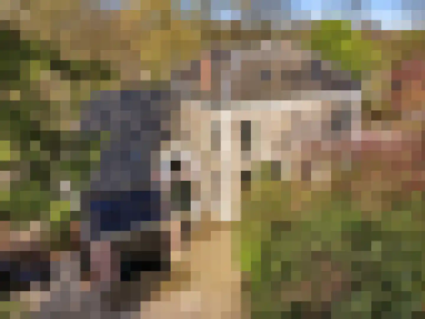 Zutphensestraat 53 Brummen thumbnail 103