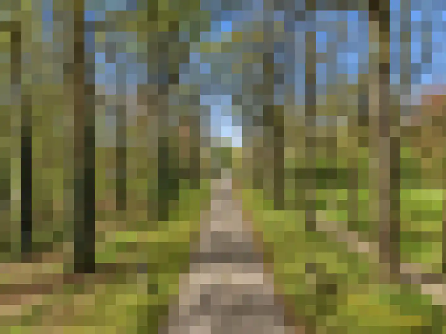 Zutphensestraat 53 Brummen thumbnail 111
