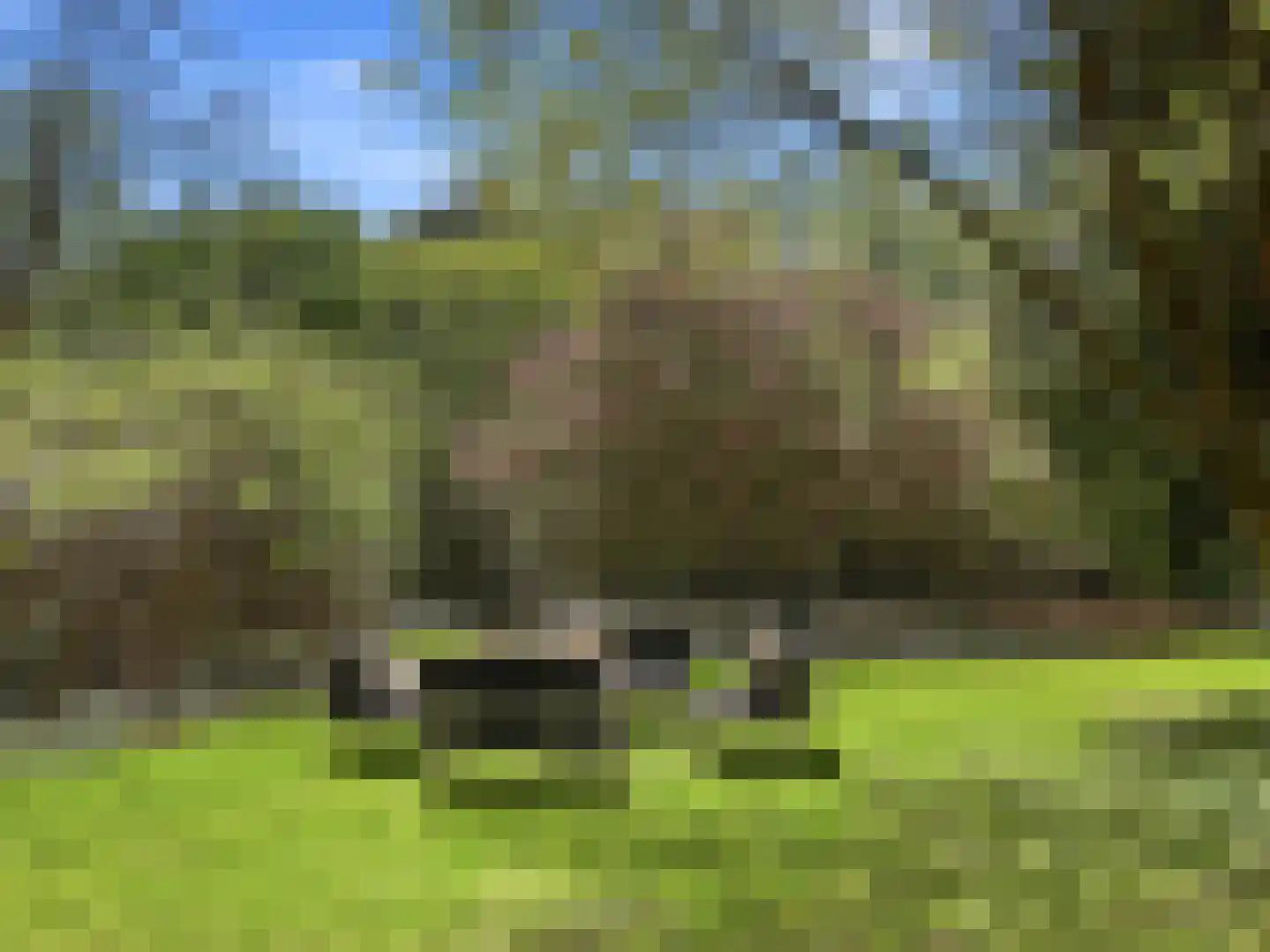 Zutphensestraat 53 Brummen thumbnail 114
