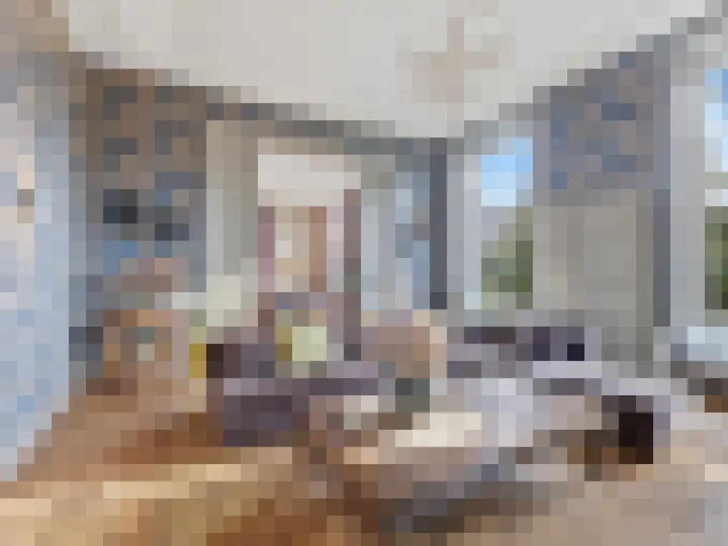Zutphensestraat 53 Brummen thumbnail 16