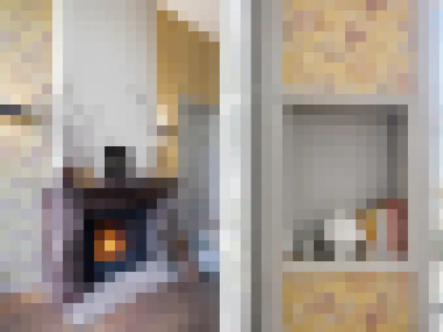 Zutphensestraat 53 Brummen thumbnail 24