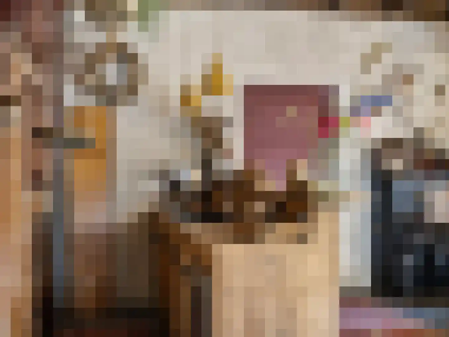 Zutphensestraat 53 Brummen thumbnail 34