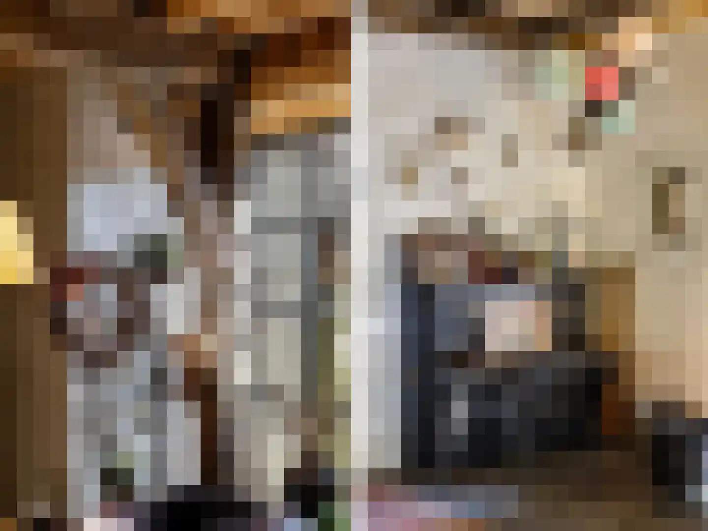 Zutphensestraat 53 Brummen thumbnail 38