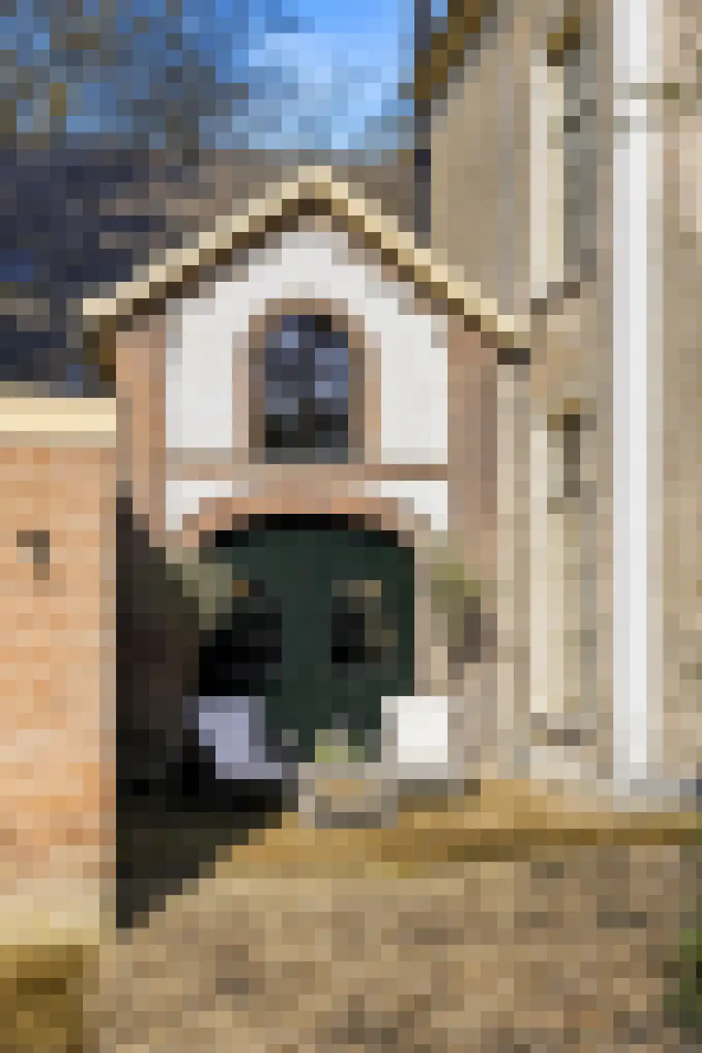 Zutphensestraat 53 Brummen thumbnail 41