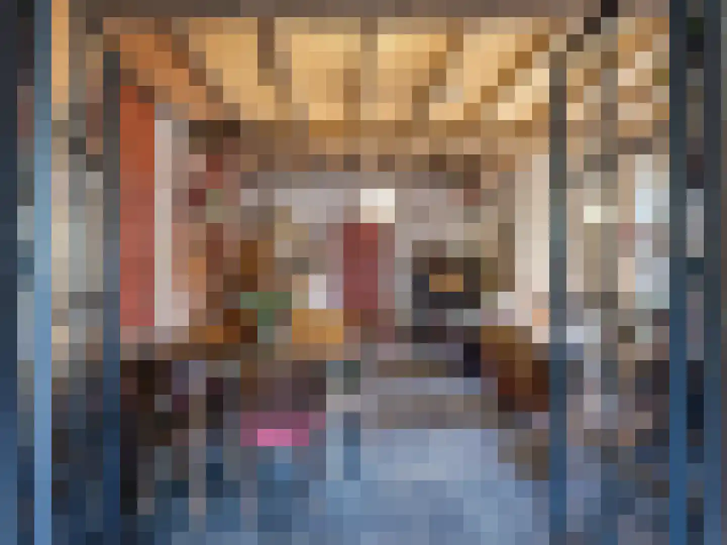 Zutphensestraat 53 Brummen thumbnail 42