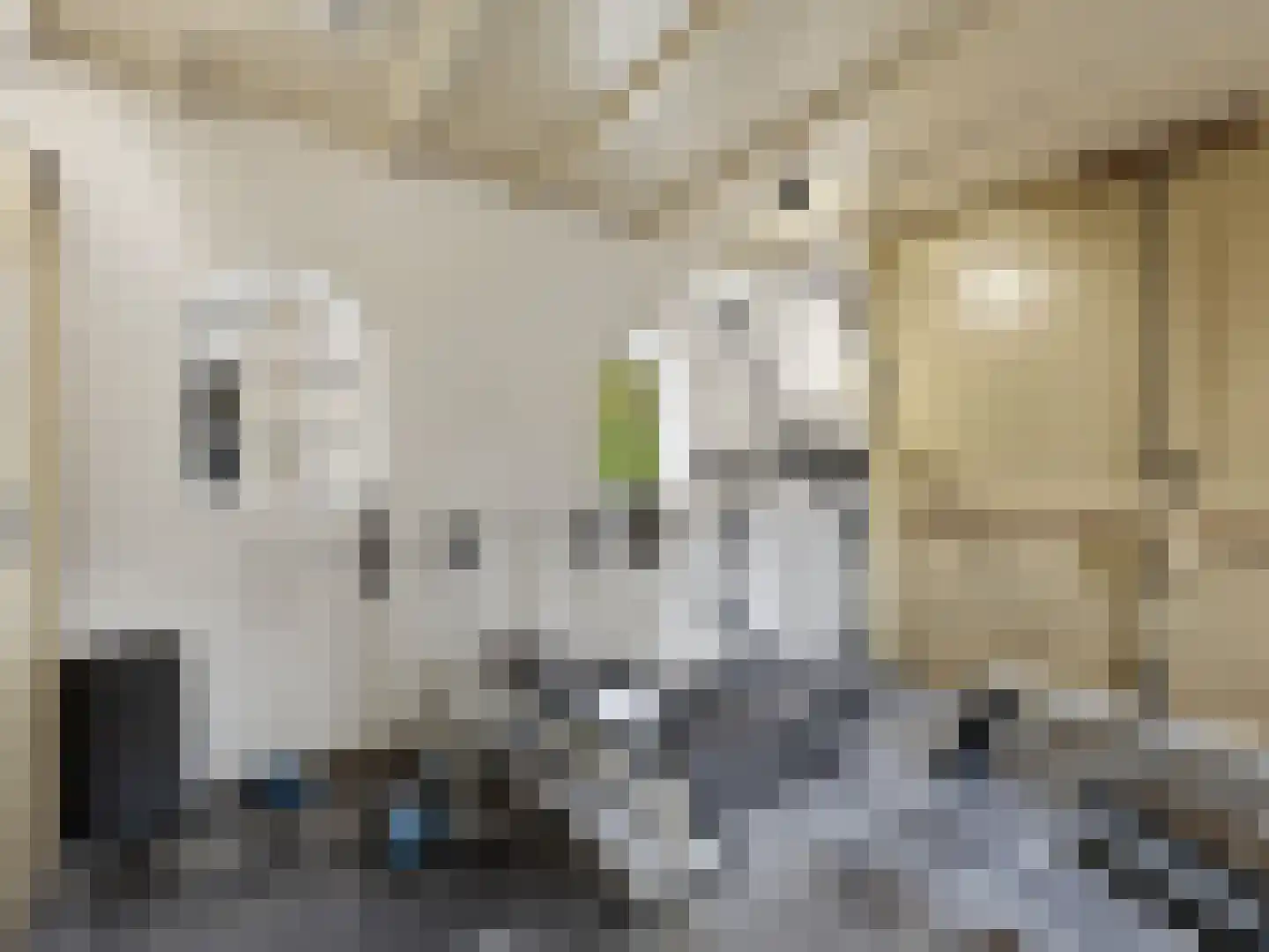 Zutphensestraat 53 Brummen thumbnail 48