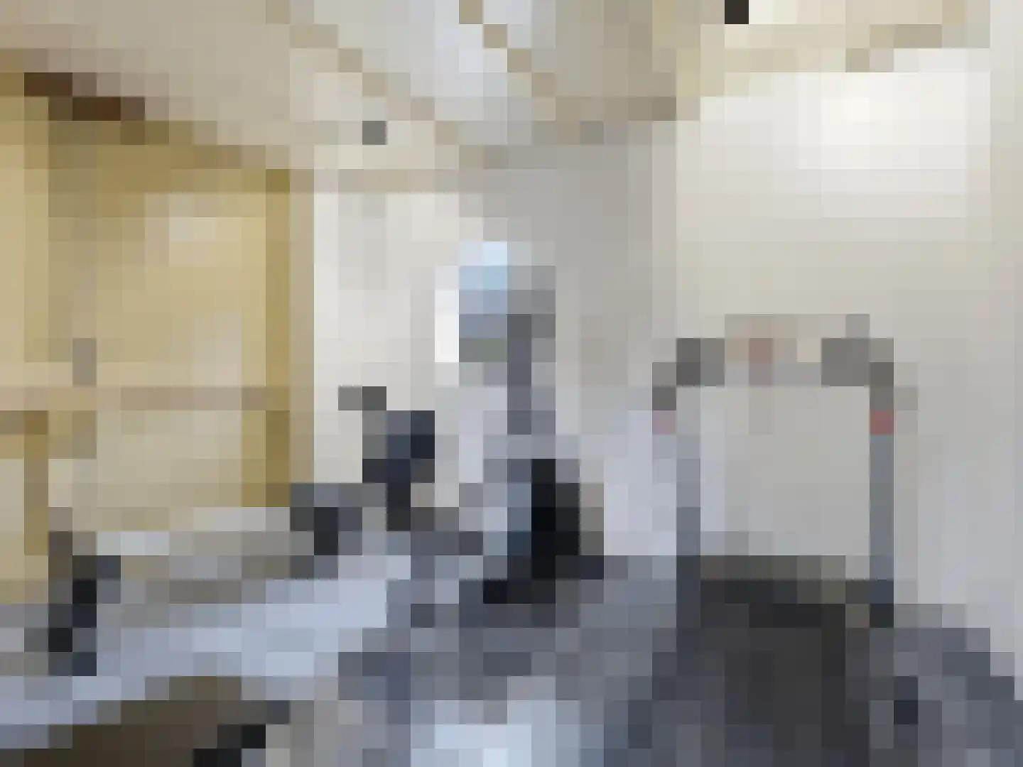 Zutphensestraat 53 Brummen thumbnail 49