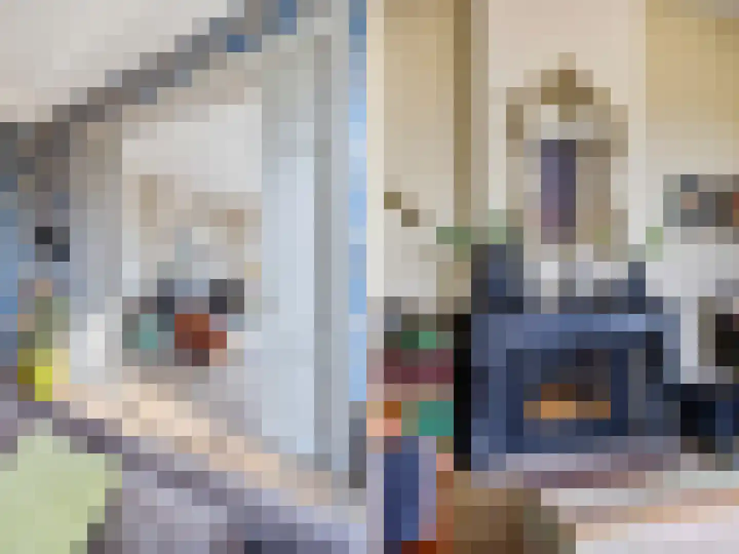 Zutphensestraat 53 Brummen thumbnail 5