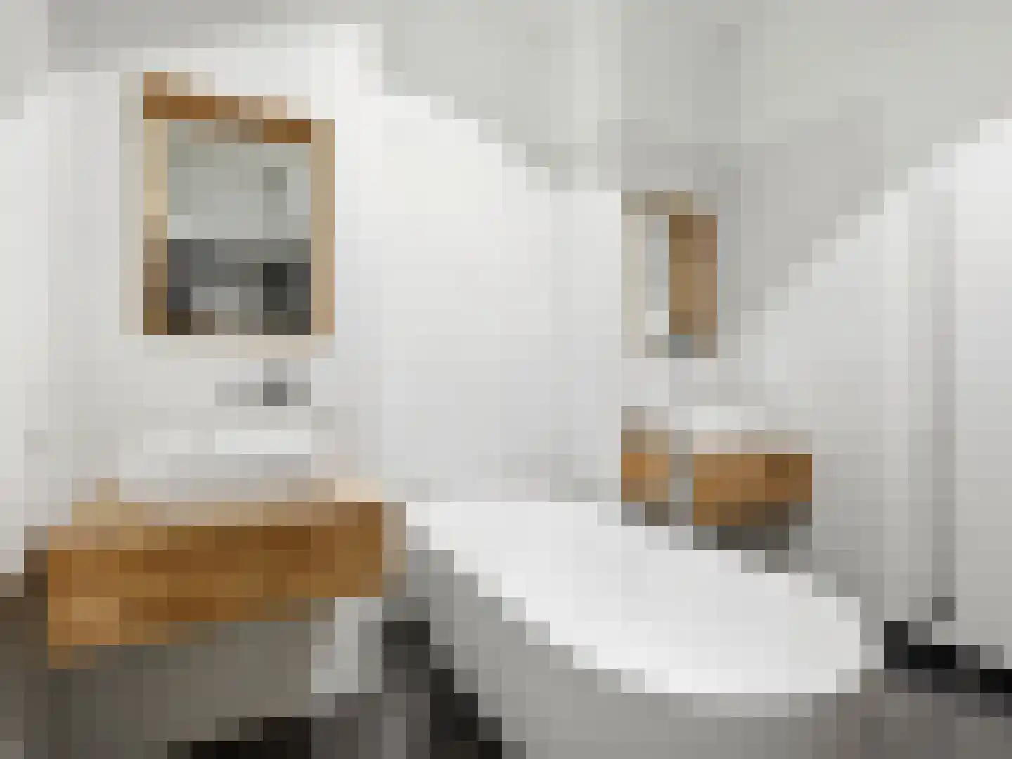 Zutphensestraat 53 Brummen thumbnail 63