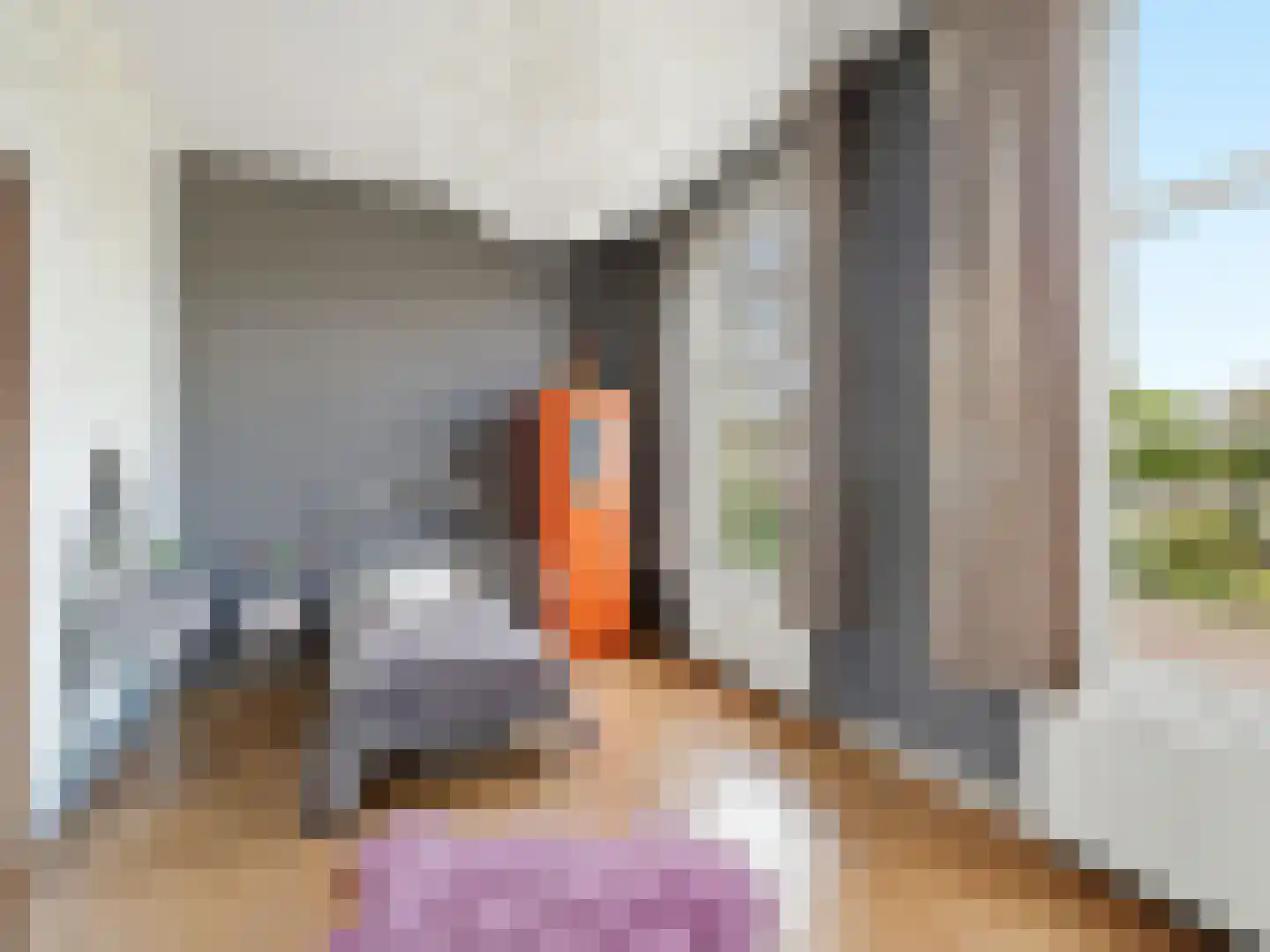 Zutphensestraat 53 Brummen thumbnail 66