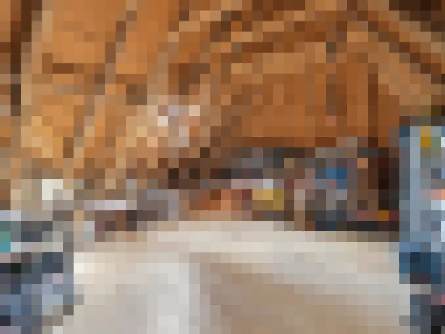 Zutphensestraat 53 Brummen thumbnail 71