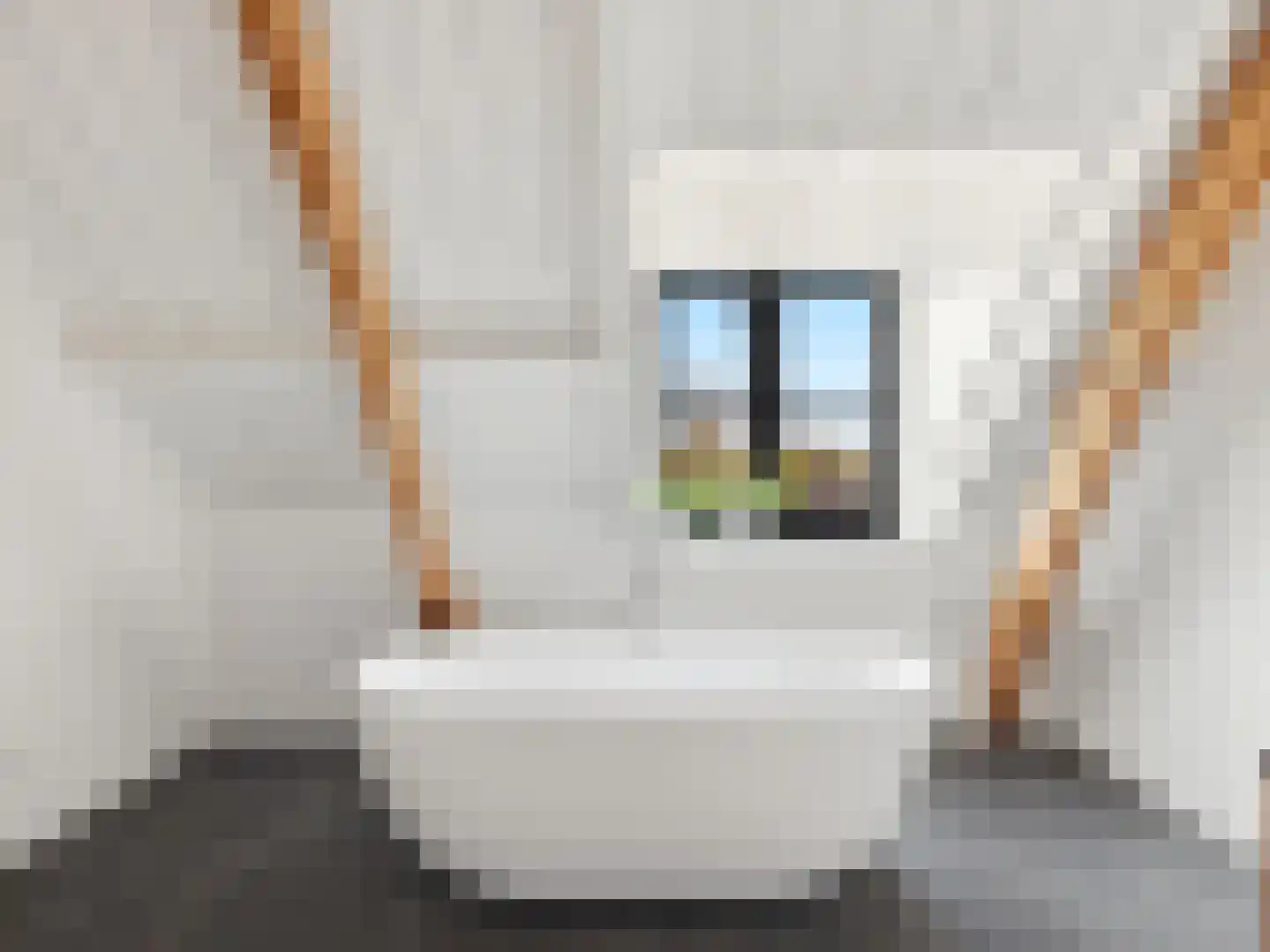 Zutphensestraat 53 Brummen thumbnail 74