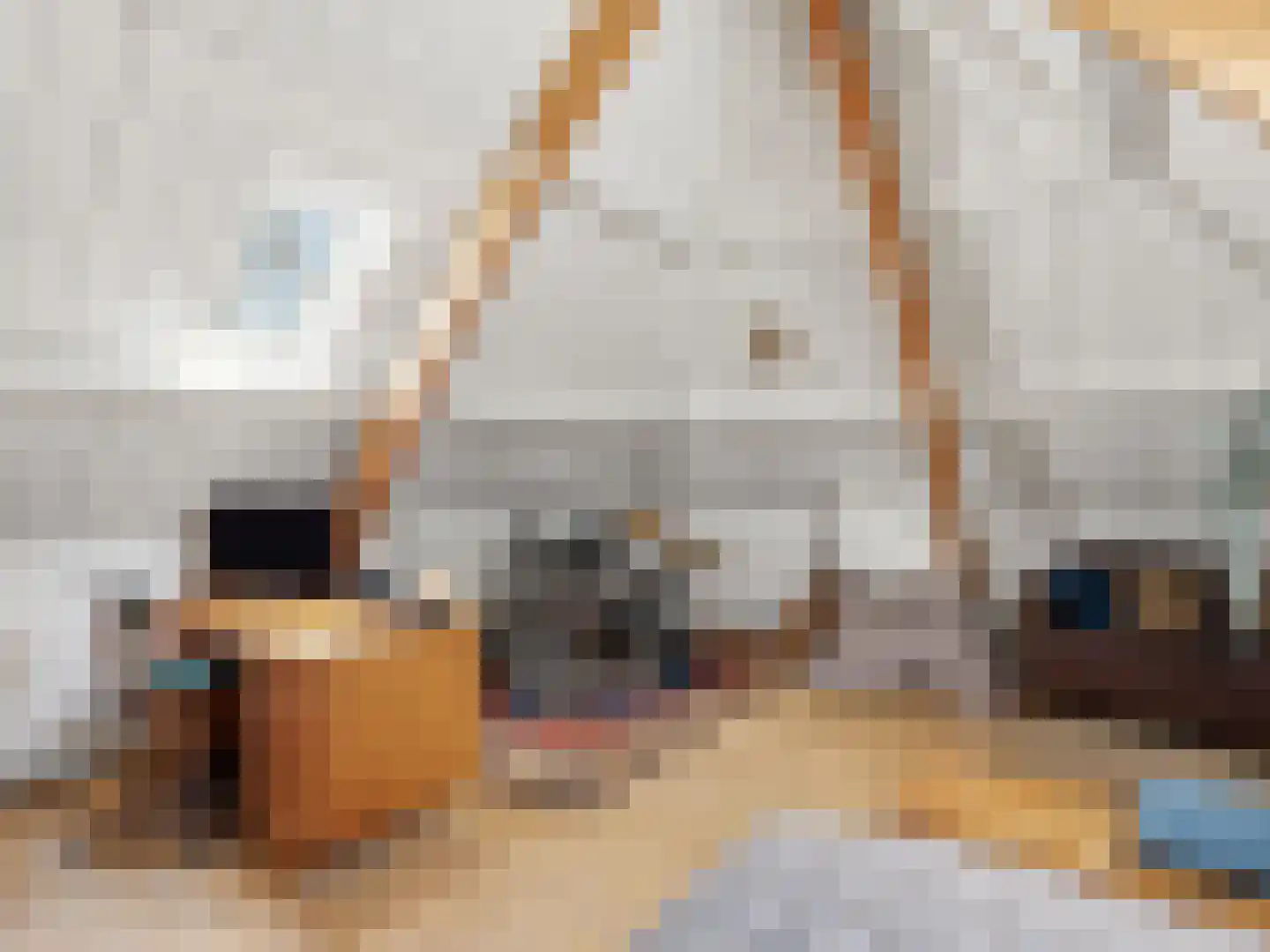 Zutphensestraat 53 Brummen thumbnail 78