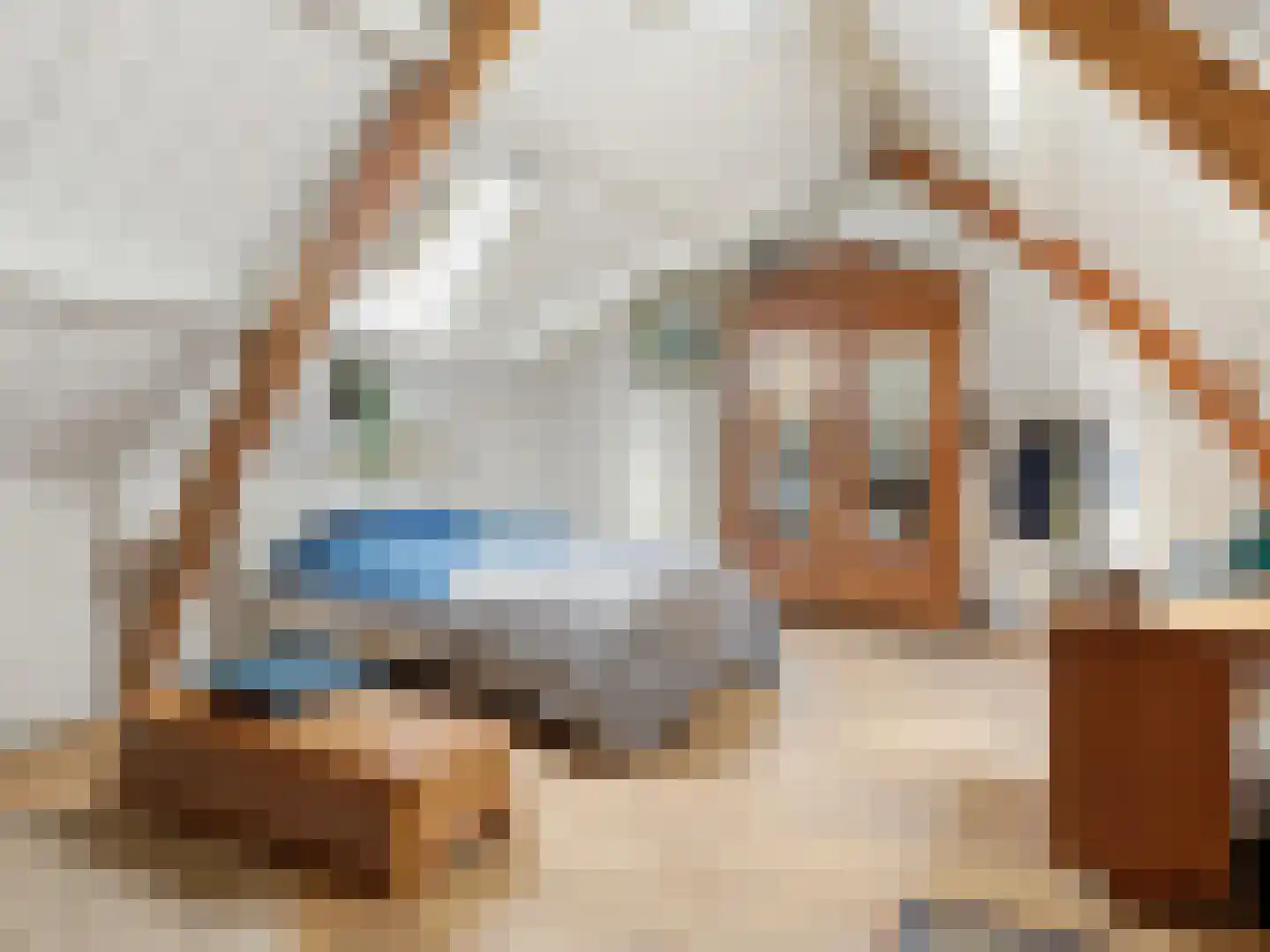 Zutphensestraat 53 Brummen thumbnail 79