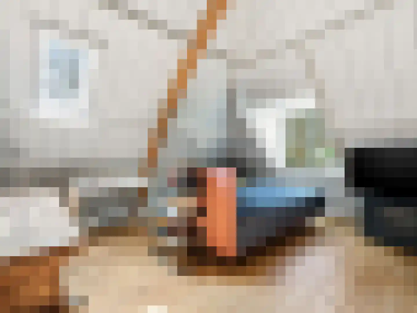 Zutphensestraat 53 Brummen thumbnail 80