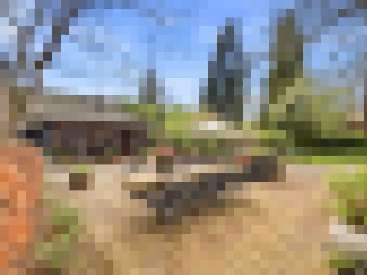 Zutphensestraat 53 Brummen thumbnail 86