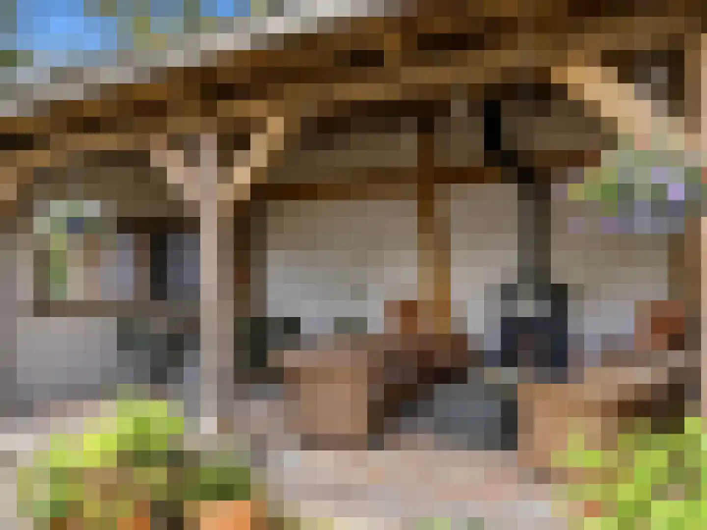 Zutphensestraat 53 Brummen thumbnail 89