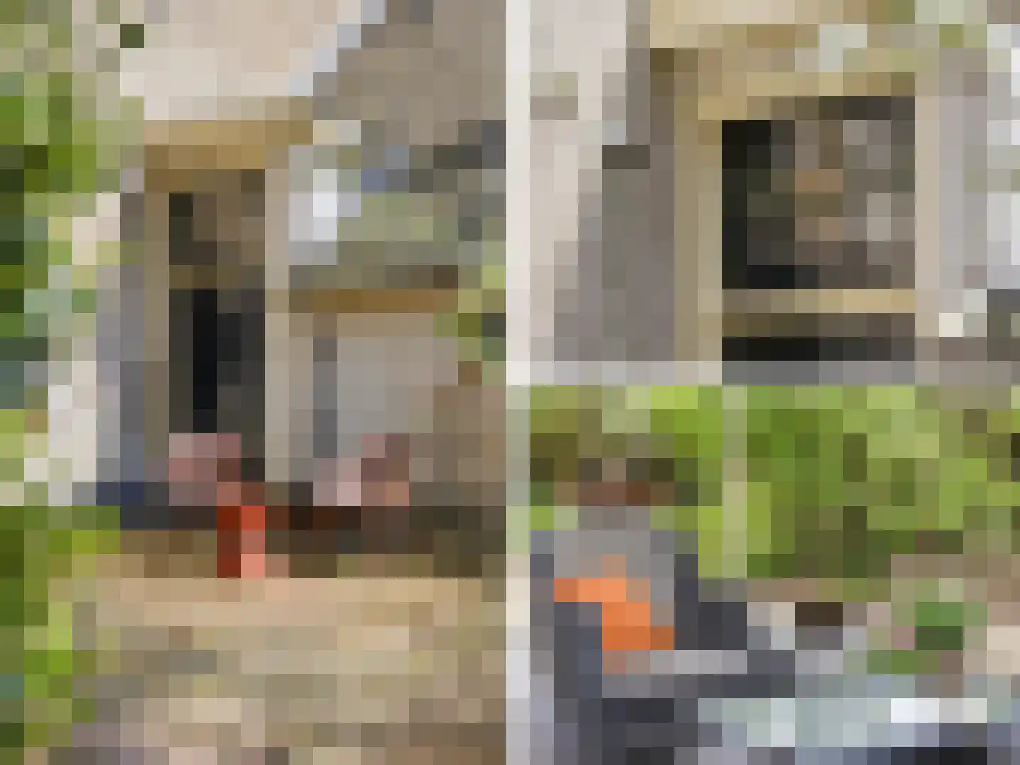 Zutphensestraat 53 Brummen thumbnail 91