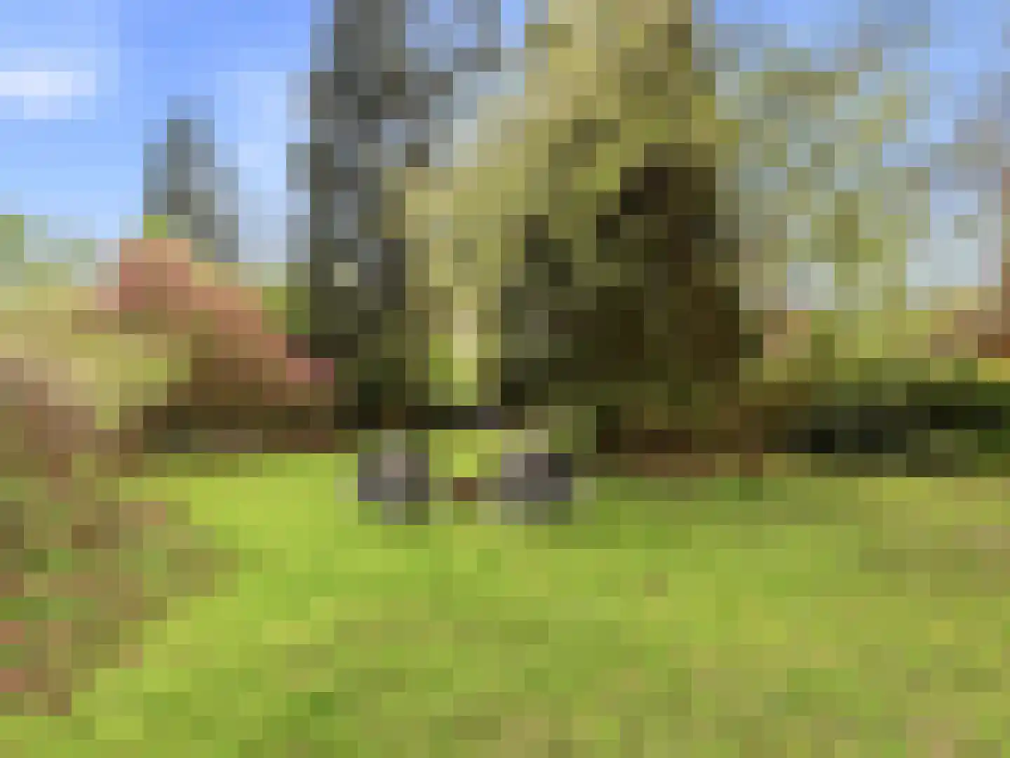 Zutphensestraat 53 Brummen thumbnail 92