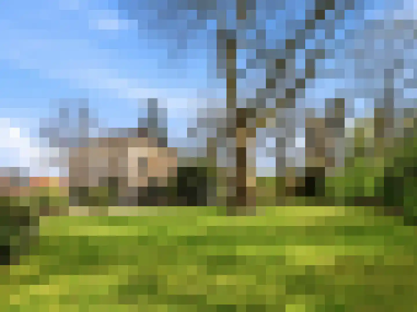 Zutphensestraat 53 Brummen thumbnail 95