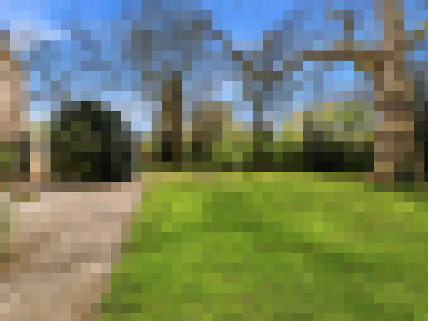 Zutphensestraat 53 Brummen thumbnail 96