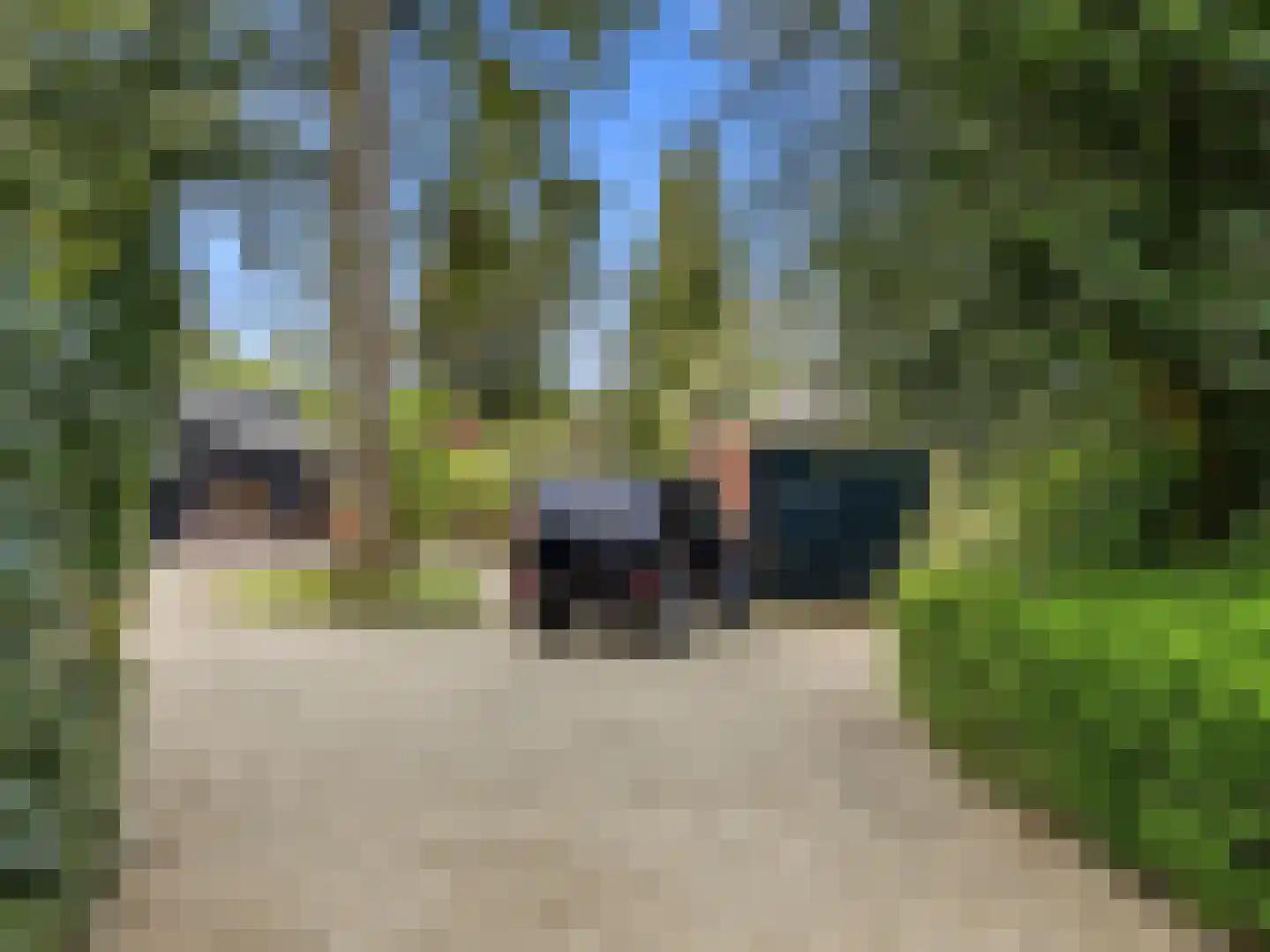 Zutphensestraat 53 Brummen thumbnail 99