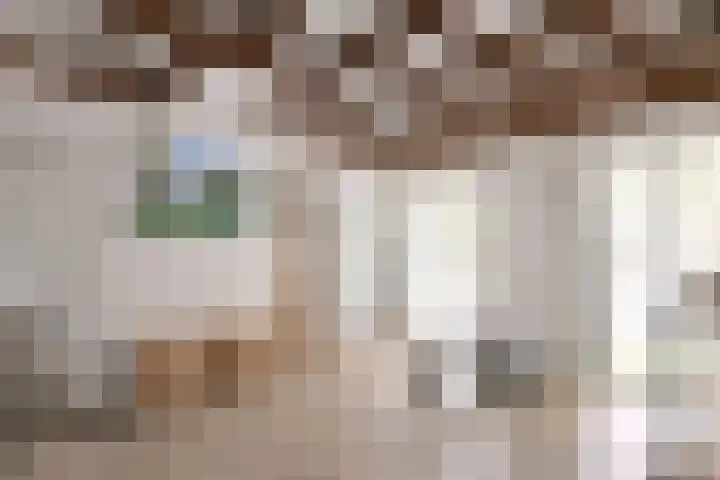 Zutphensestraat 72 A Brummen thumbnail 31