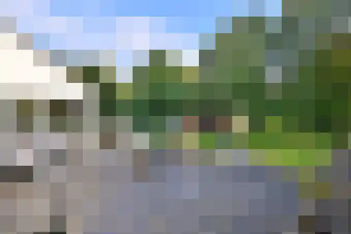 Zutphensestraat 72 A Brummen thumbnail 44