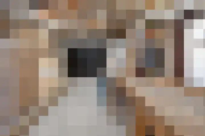 Zutphensestraat 94 Brummen thumbnail 31