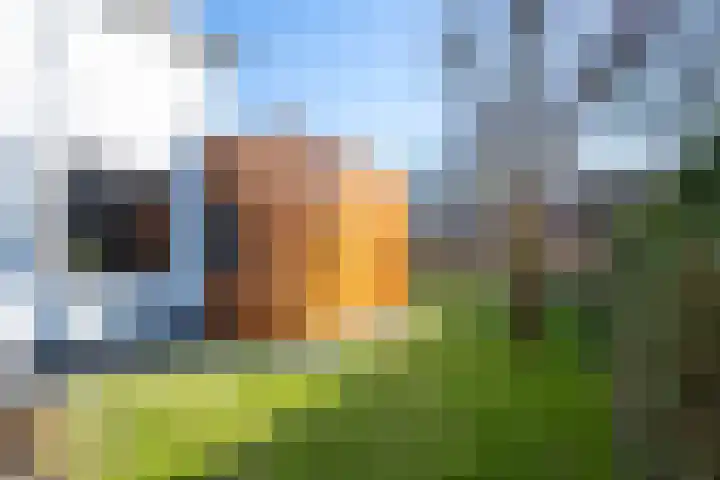 Zutphensestraat 94 Brummen thumbnail 37