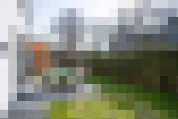 Zutphensestraat 94 Brummen thumbnail 39