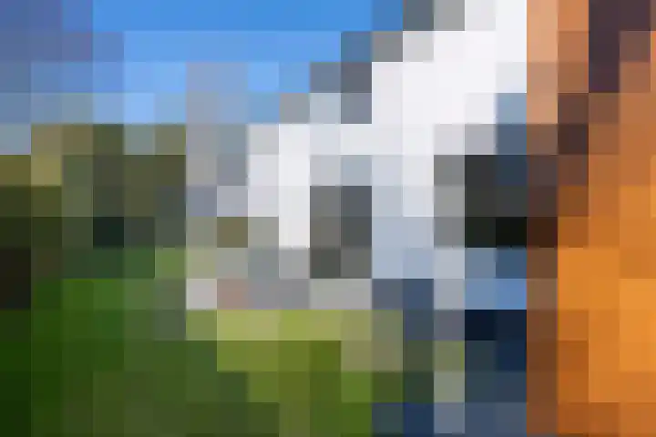 Zutphensestraat 94 Brummen thumbnail 40