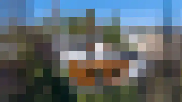 Zutphensestraat 94 Brummen thumbnail 46