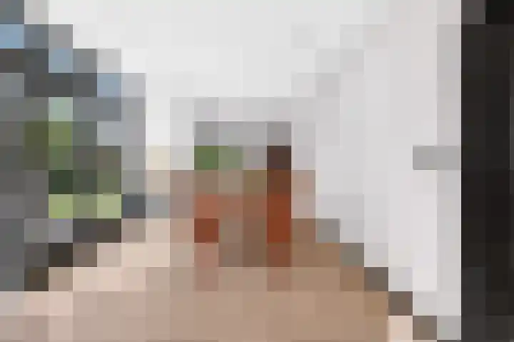 Zutphensestraat 94 Brummen thumbnail 6