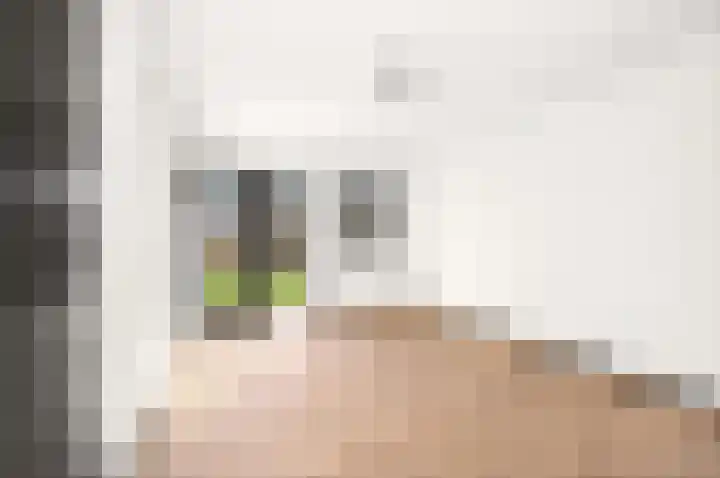 Zutphensestraat 94 Brummen thumbnail 9